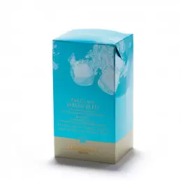 Thé glacé Jardin bleu - 6 sachets photo numéro 1