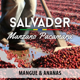 Salvador - Pacamara Manzano - café moulu photo numéro 1