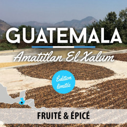 Guatemala - Amatitlan El Xalum - café moulu photo numéro 1