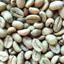 Café vert d'Éthiopie Moka...