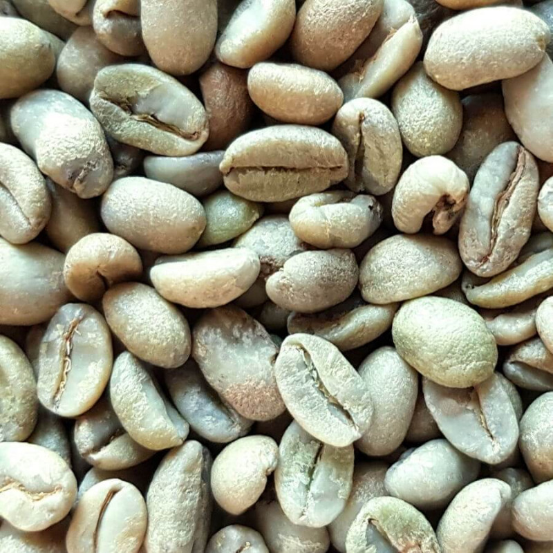 Café vert d'Éthiopie Moka Lekempti G4 - 1kg-2582