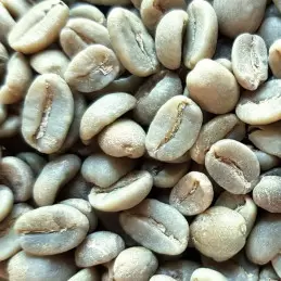 Café vert bio Colombie Madre Tierra - 1kg photo numéro 1