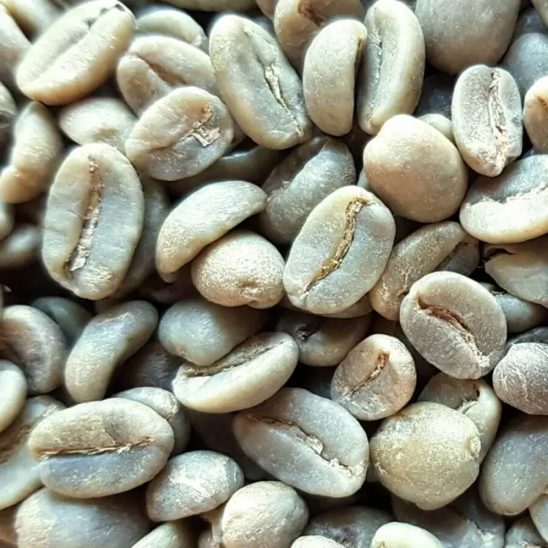 Café vert bio Colombie Madre Tierra - 1kg photo numéro 1 Café vert bio Colombie Madre Tierra - 1kg photo numéro 1