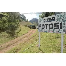 Café vert bio Colombie Madre Tierra - 1kg photo numéro 1