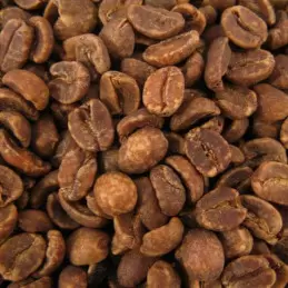 Café vert du Mexique - décaféine sans solvant - 1 kg photo numéro 1