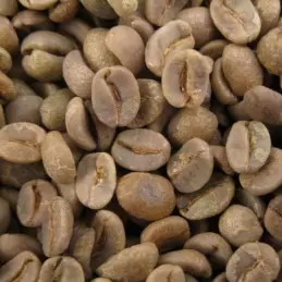 Café vert du Brésil Cerrado fine cup - 1kg photo numéro 1