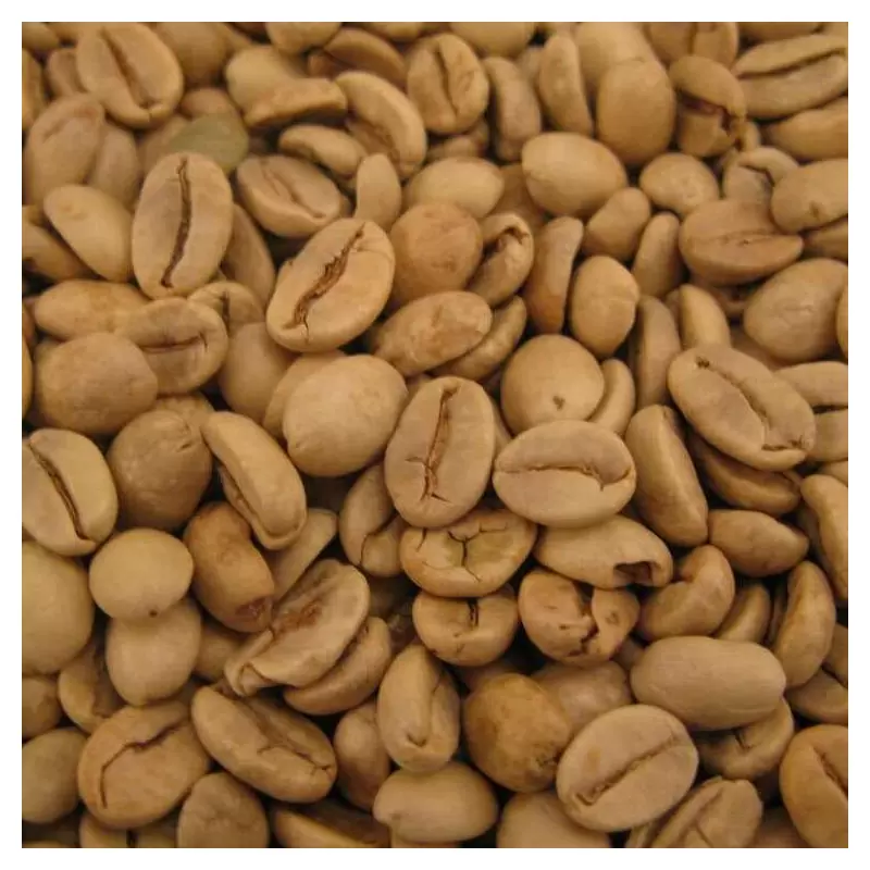 Café vert d'Inde Malabar Moussoné AA - 1kg-2604