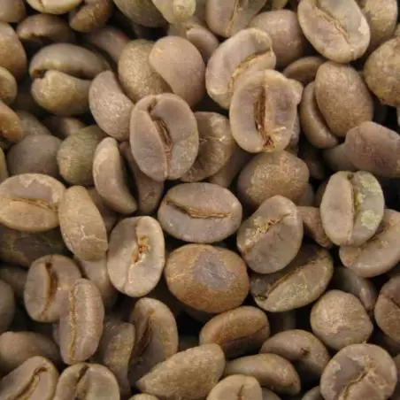 Café vert Salvador Manzano Bourbon Rouge - 1kg photo numéro 1