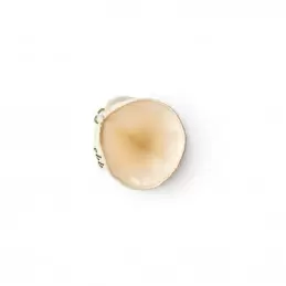 EBB Filtre coton compatible Chemex 3 tasses photo numéro 1