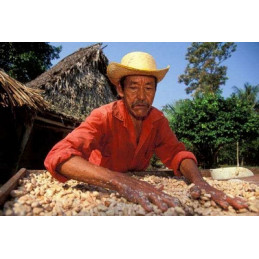 Honduras - Chikita - café en grains photo numéro 4