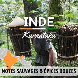 Inde - Malabar - café en grains photo numéro 2