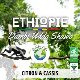 Éthiopie - Dambi Uddo Shawo...
