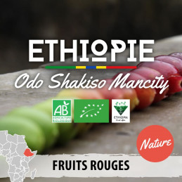 Éthiopie - Moka Guji Odo Shakiso Mancity - nature - café en grain photo numéro 2