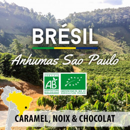 Brésil - Sao Paulo Anhumas bio - café en grains photo numéro 1