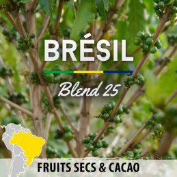 Brésil - Blend 25 - café en grains photo numéro 2