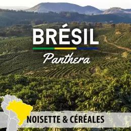 Brésil - Cerrado Panthera - café en grains photo numéro 1