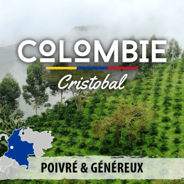 Colombie - San Cristobal - café en grains photo numéro 1