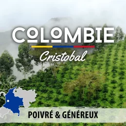 Colombie - San Cristobal - café en grains photo numéro 2