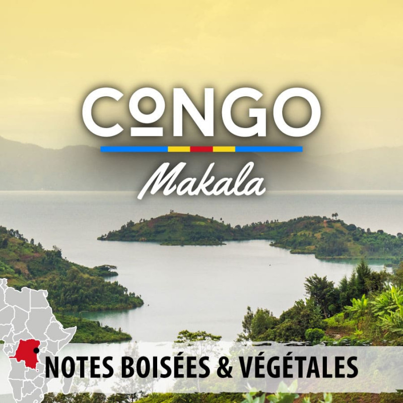 Congo - Makala - grains-3576