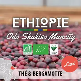 Éthiopie - Moka Guji Odo Shakiso Mancity - lavé - café en grain photo numéro 1
