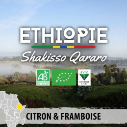 Éthiopie - Moka Guji Shakiso Qararo bio - café en grains photo numéro 1