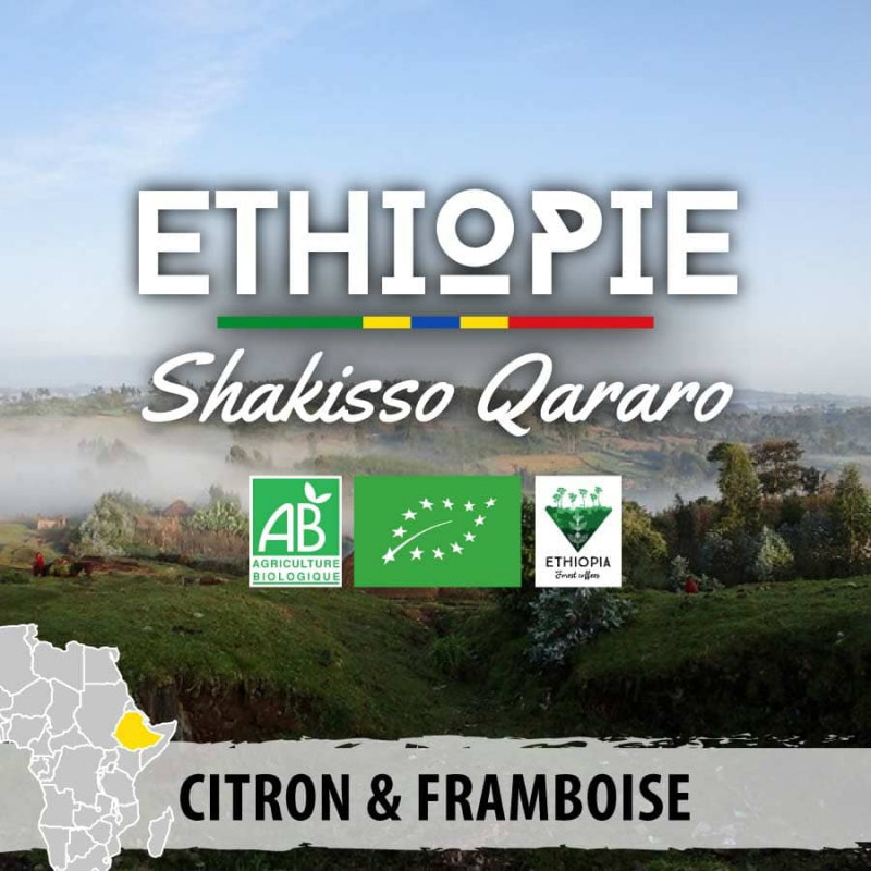 Éthiopie - Moka Guji Shakiso Qararo bio - grains-3589