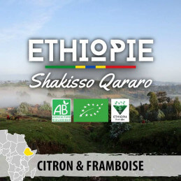 Éthiopie - Moka Guji...
