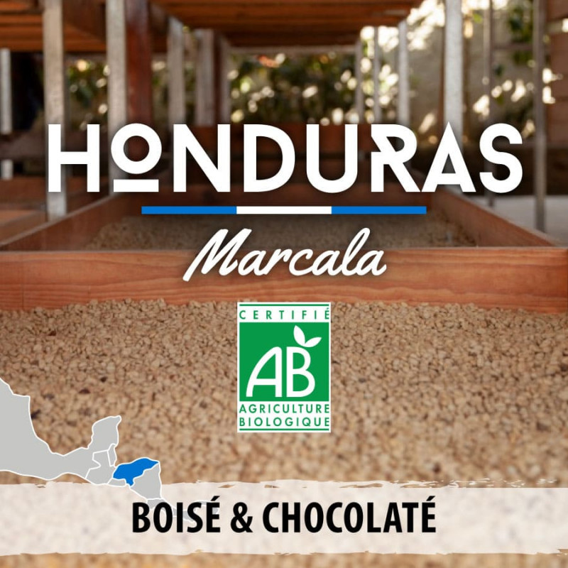 Honduras - Marcala Ceiba bio - grains-3595