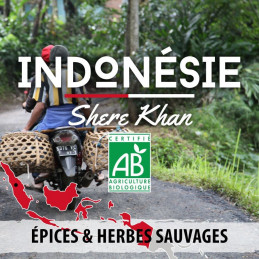 Indonésie - Shere Khan bio - café en grains photo numéro 1