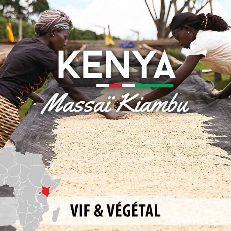 Kenya - Massaï Kiambu - grains-3725