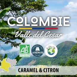 Colombie - Duni Anemos Valle Del Cesar Bio - café en grain photo numéro 2