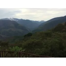 Bolivie - Aymara Yungas La Paz bio - café en grain-4105