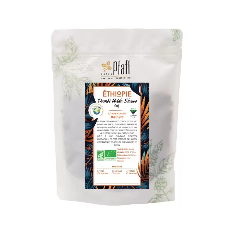 Éthiopie - Dambi Uddo Shawo bio - café en grain-4407