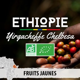 Éthiopie - Yirgacheffe Chelbesa Gedeo Bio - café en grains-4774