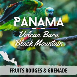 Panama - Volcan Baru Black Mountain - café en grains-4778