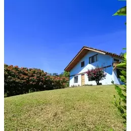 Panama - Volcan Baru Black Mountain - café en grains-4780
