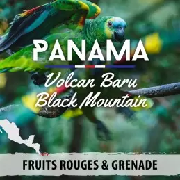 Panama - Volcan Baru Black Mountain - café moulu-4782