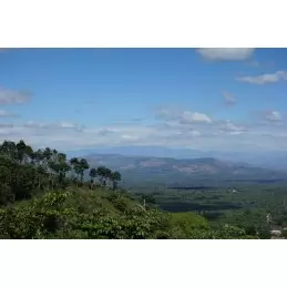 Salvador - El Manzano Zéro Pesticide - café moulu-5444
