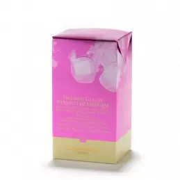 Thé glacé Passion Framboise - 6 sachets photo numéro 1