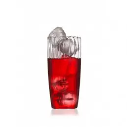 Thé glacé Passion Framboise - 6 sachets photo numéro 1