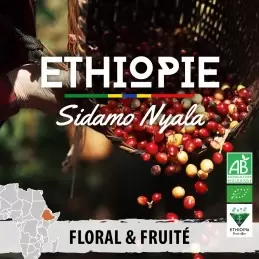 Éthiopie - Sidamo Nyala BIO - café en grain-5835