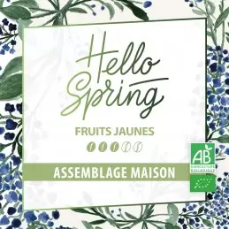 Hello Spring BIO édition 2023 - Blend Maison - café en grain-5947