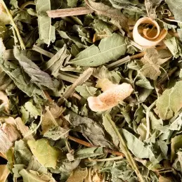 Tisane du Berger - 25 sachets photo numéro 1