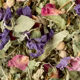 Tisane des Merveilles - 25 sachets photo numéro 1