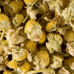 Tisane Camomille - 24 sachets photo numéro 1
