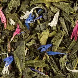 Thé Vert - L'Oriental - 25 sachets-771