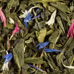 Thé Vert - L'Oriental - 24 sachets-788