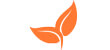 Rooibos en vrac