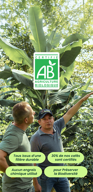 Tous nos cafés certifiés bio